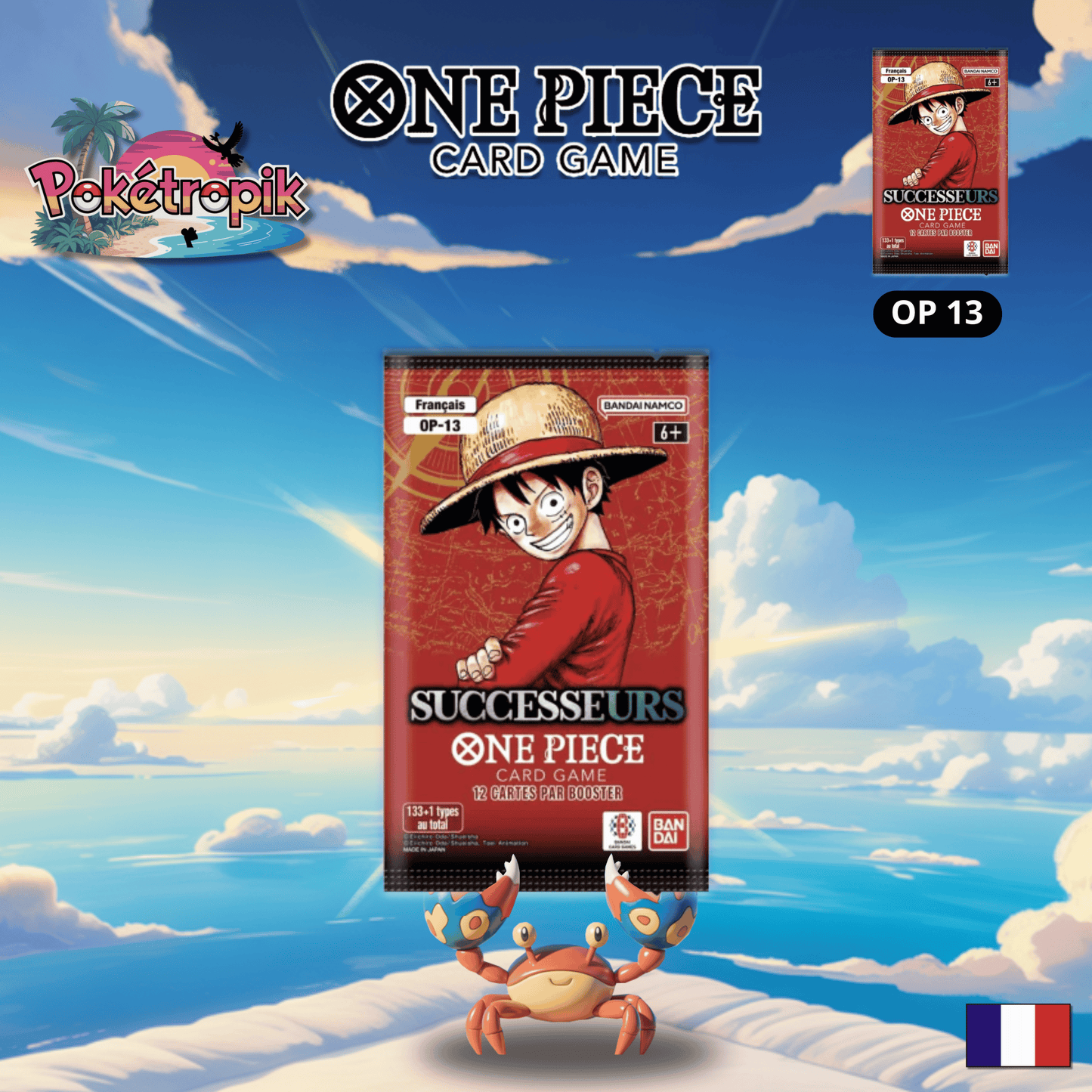 Booster OnePiece "Successeurs" - OP13 FR