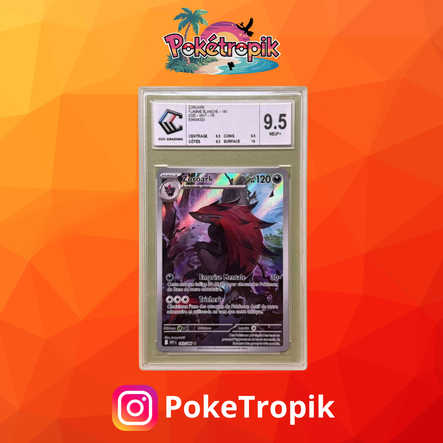 CCC9.5 ZOROARK AR - 143 - Carte gradée