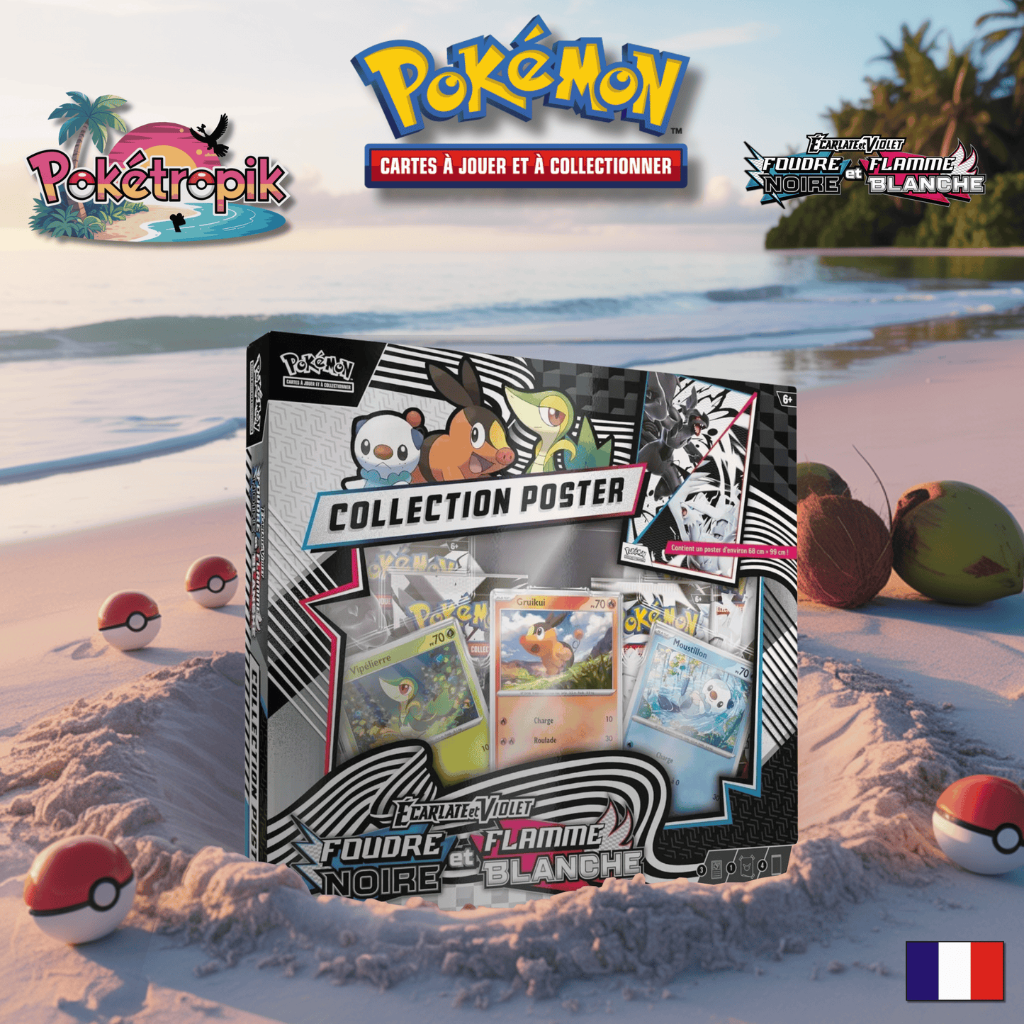 Coffret Collection Poster Foudre Noir/Flammes Blanche - EV10.5 FR