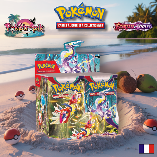 Display Ecarlate et Violet - EV01 FR