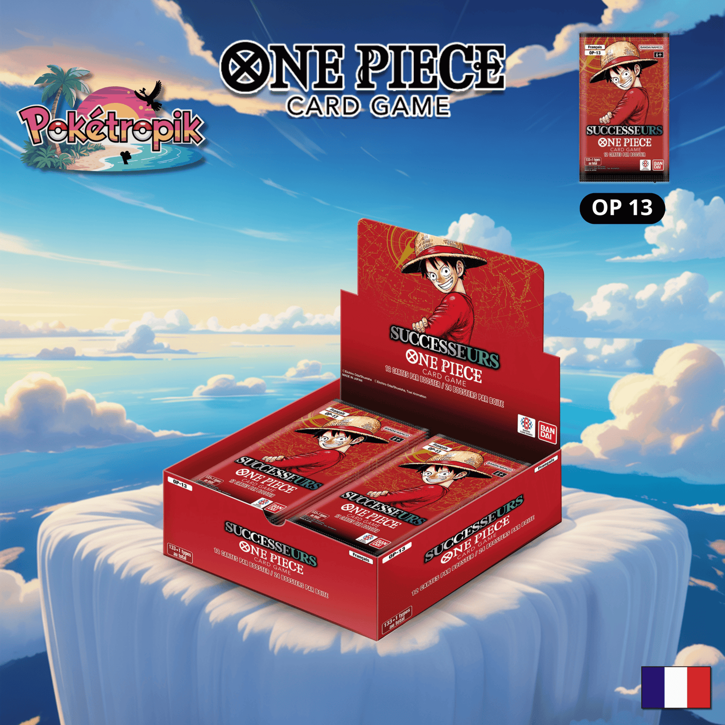 Display OnePiece "Successeurs" - OP13 FR