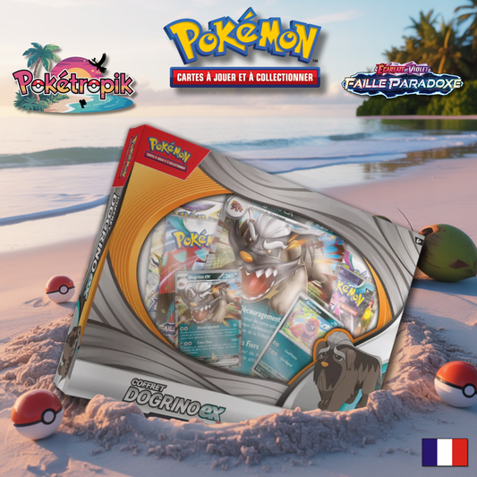 Coffret Dogrino EX - EV04 FR