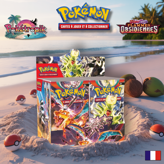 Display Flammes Obsidiennes - EV03 FR
