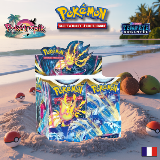 Display Tempête Argentée - EB12 FR