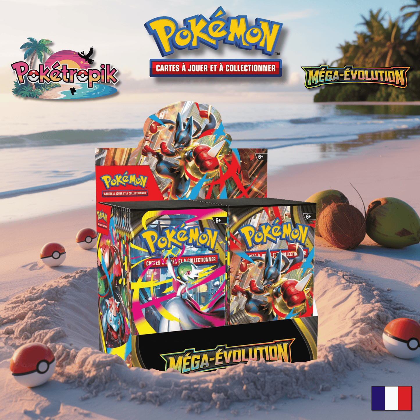 Display Méga Évolution - ME01 FR